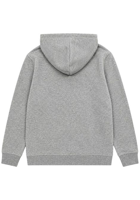 Felpa bambino grigia in cotone BLAUER | 26WBLKF08515GRIGIO