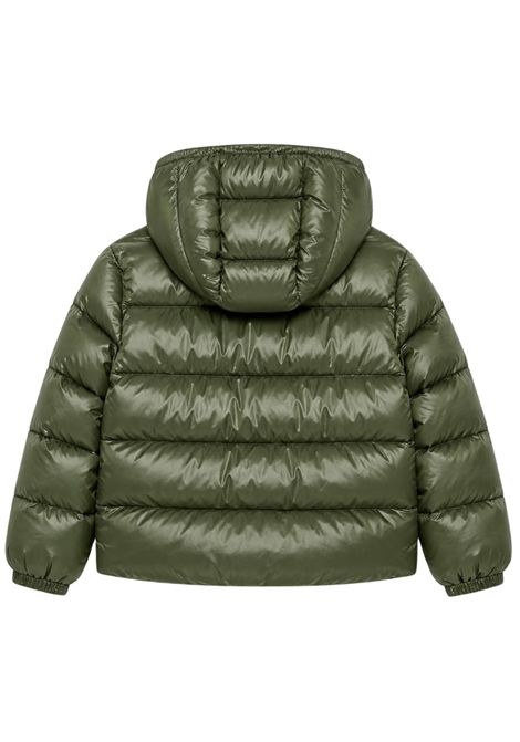 Giubbino neonato verde imbottito BLAUER | BAXTERVERDE