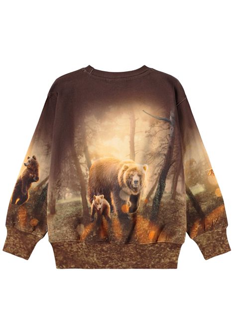Brown cotton children's sweatshirt MOLO | 1W25J2033/DEMARRONE