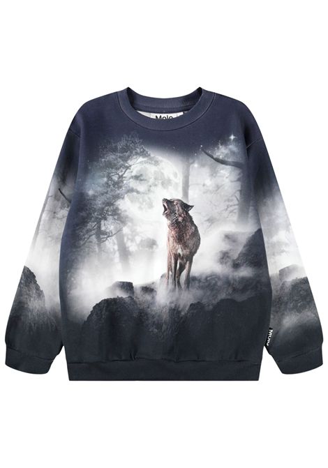 Blue cotton sweatshirt for children MOLO | 1W25J209/DEBLU